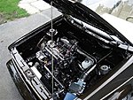 Klicke auf die Grafik für eine vergrößerte Ansicht

Name: Tom´s Cabrio6.jpg
Ansichten: 492
Größe: 97,5 KB
ID: 1528920