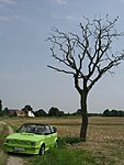 Klicke auf die Grafik für eine vergrößerte Ansicht

Name: Bruno+Baum kleiner2.JPG
Ansichten: 95
Größe: 70,9 KB
ID: 1531366