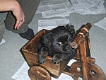 Klicke auf die Grafik für eine vergrößerte Ansicht

Name: Bild 3.jpg
Ansichten: 96
Größe: 79,1 KB
ID: 1537459