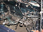 Klicke auf die Grafik für eine vergrößerte Ansicht

Name: IMG_4167.JPG
Ansichten: 199
Größe: 89,0 KB
ID: 1545743