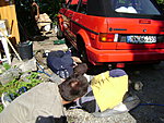 Klicke auf die Grafik für eine vergrößerte Ansicht

Name: DSC01122.JPG
Ansichten: 139
Größe: 113,3 KB
ID: 1550784