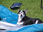 Klicke auf die Grafik für eine vergrößerte Ansicht

Name: Fritz.jpg
Ansichten: 110
Größe: 73,3 KB
ID: 1554167