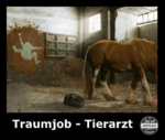 Klicke auf die Grafik für eine vergrößerte Ansicht

Name: Tierarzt.png
Ansichten: 257
Größe: 453,9 KB
ID: 1656056